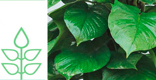 廠家直銷，質優價實